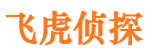 龙安抓小三